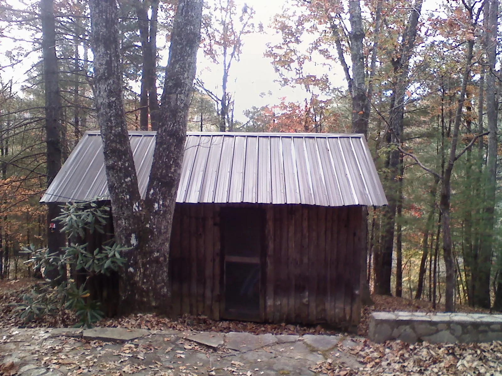 New metal gable roof on a small log shed among the trees in Longview