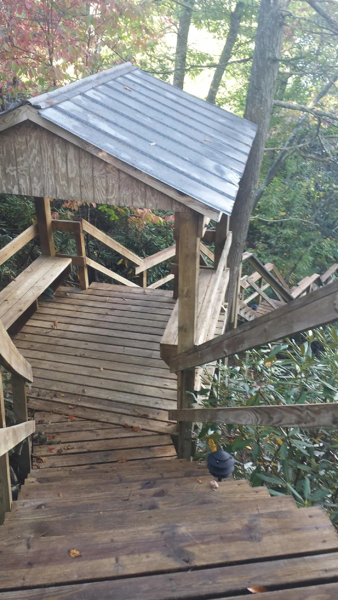 Metal roofed shelter over wooden steps on a wooded walkway — Skylight Repair & Installation work by our crew in Longview